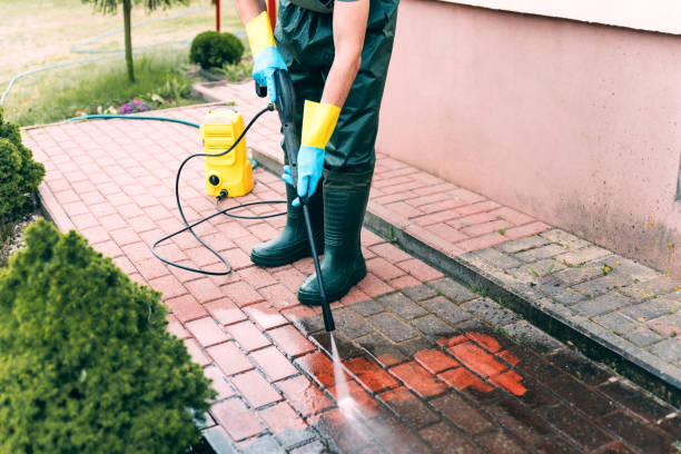 Best Dumpster Area Cleaning  in North Merrick, NY